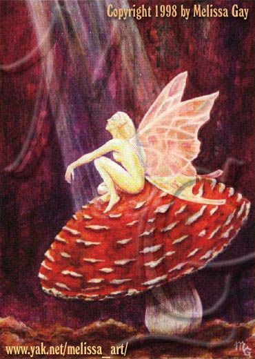 Mushroom Fairy