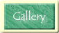 Artist's Gallery