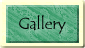 Artist's Gallery