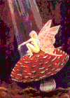 Mushroom Fairy