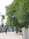 [img_1333.jpg]